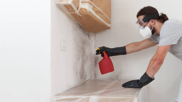 Professional Mold Inspection And Testing technician working in Belmont, MI