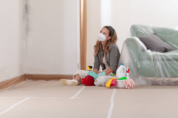 Reliable Mold Inspection And Testing contractor in Belmont, MI by Car Mold Remediation